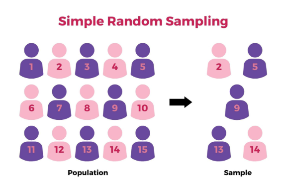 <ul><li><p>Every member of the population is given a number</p></li></ul><p></p><ul><li><p>A random number generator is used to generate random numbers (4, 5, 8) to select the samples</p></li></ul><p></p>