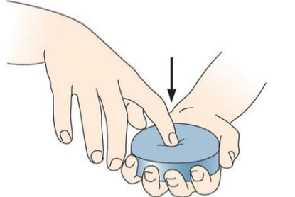 <ul><li><p>Hardness</p></li><li><p>Poke something to test rigidness</p></li></ul><p></p>
