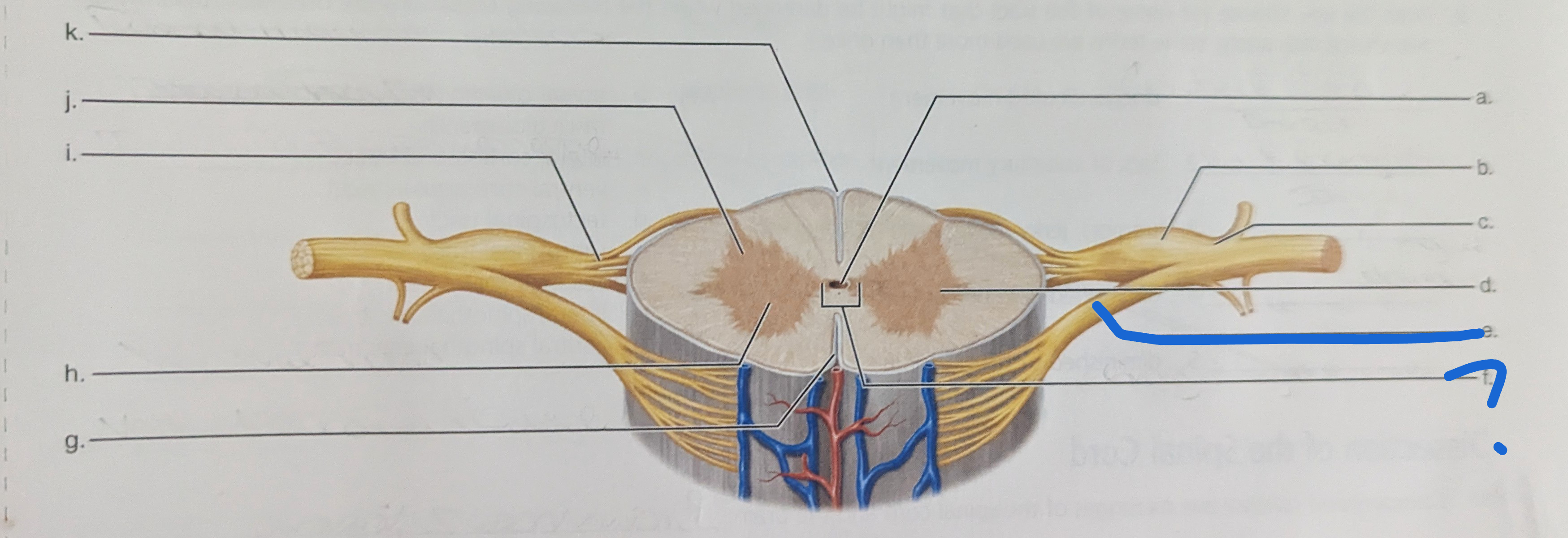 <p>What is the name of this?</p>