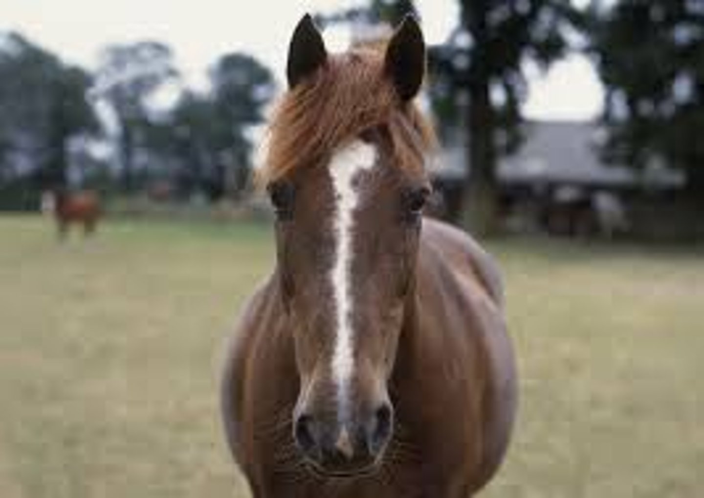 <p>what would you consider this marking</p>