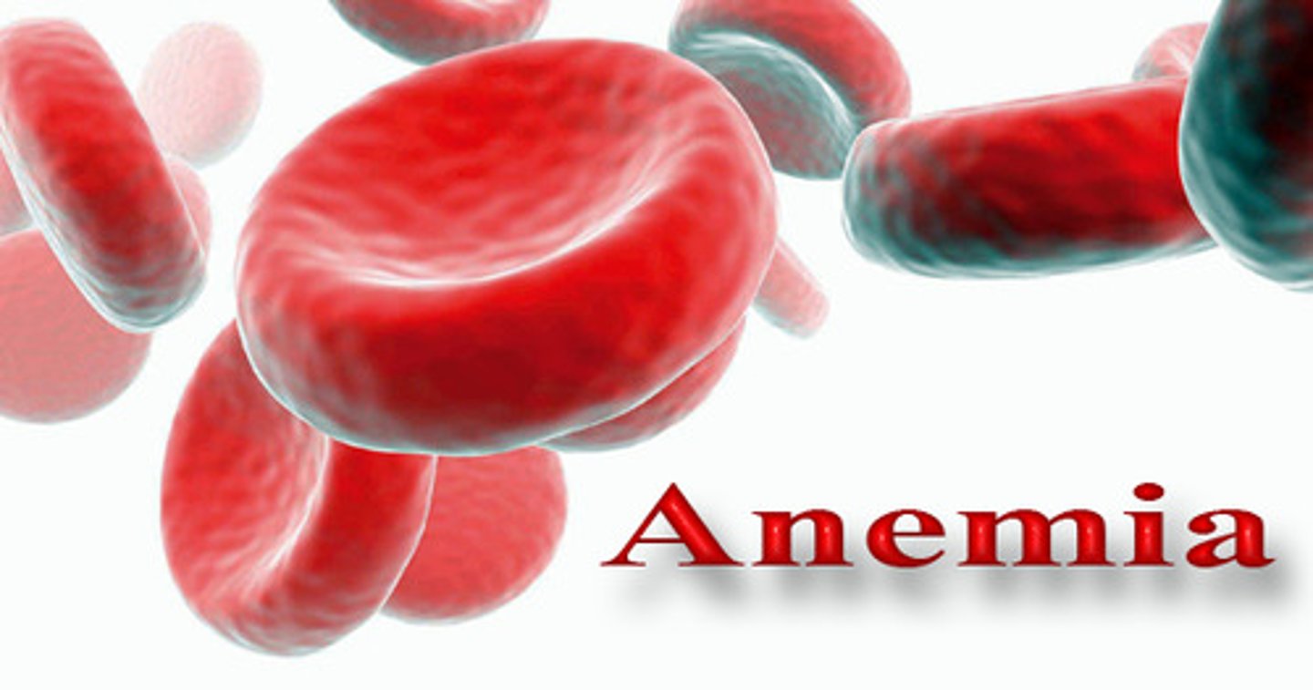 <p>a condition of blood (Anemia)</p>