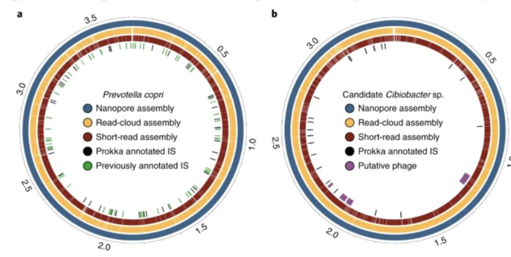 <p>What do these rings represent?</p>