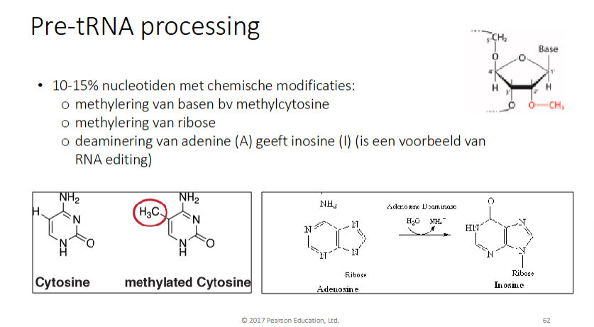<p>nee, wordt verwijderd door BER</p>
