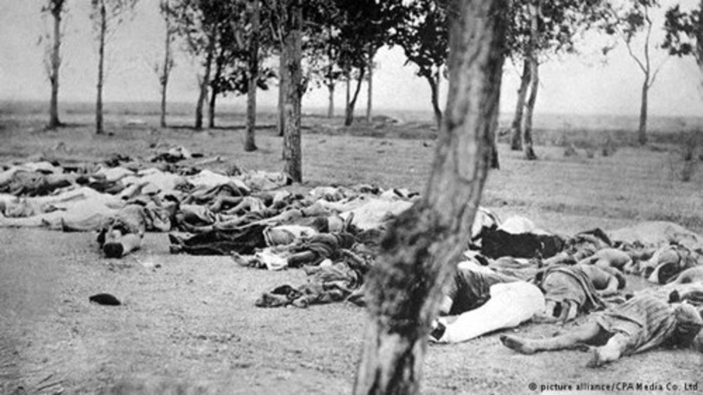 <p>Led to the eradication of Armenians from their native land. (Addie)</p>