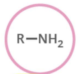 <p>Name the functional group</p>