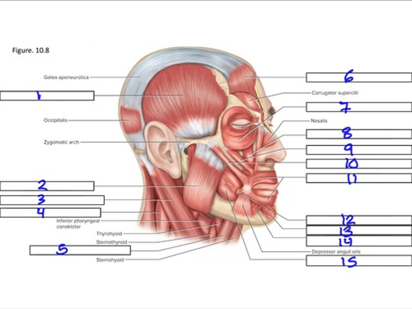 <p>1</p>