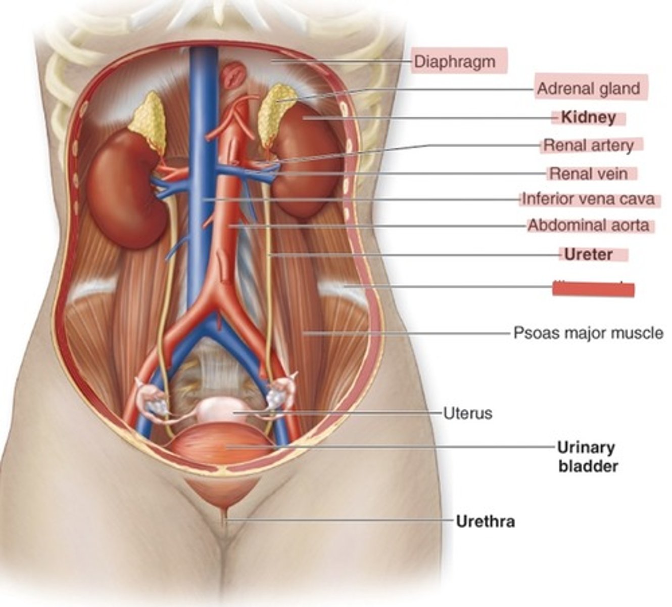 <p>What is this?</p>