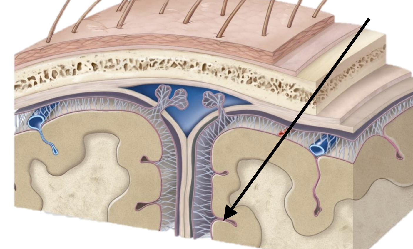 <p>Name the structure</p>