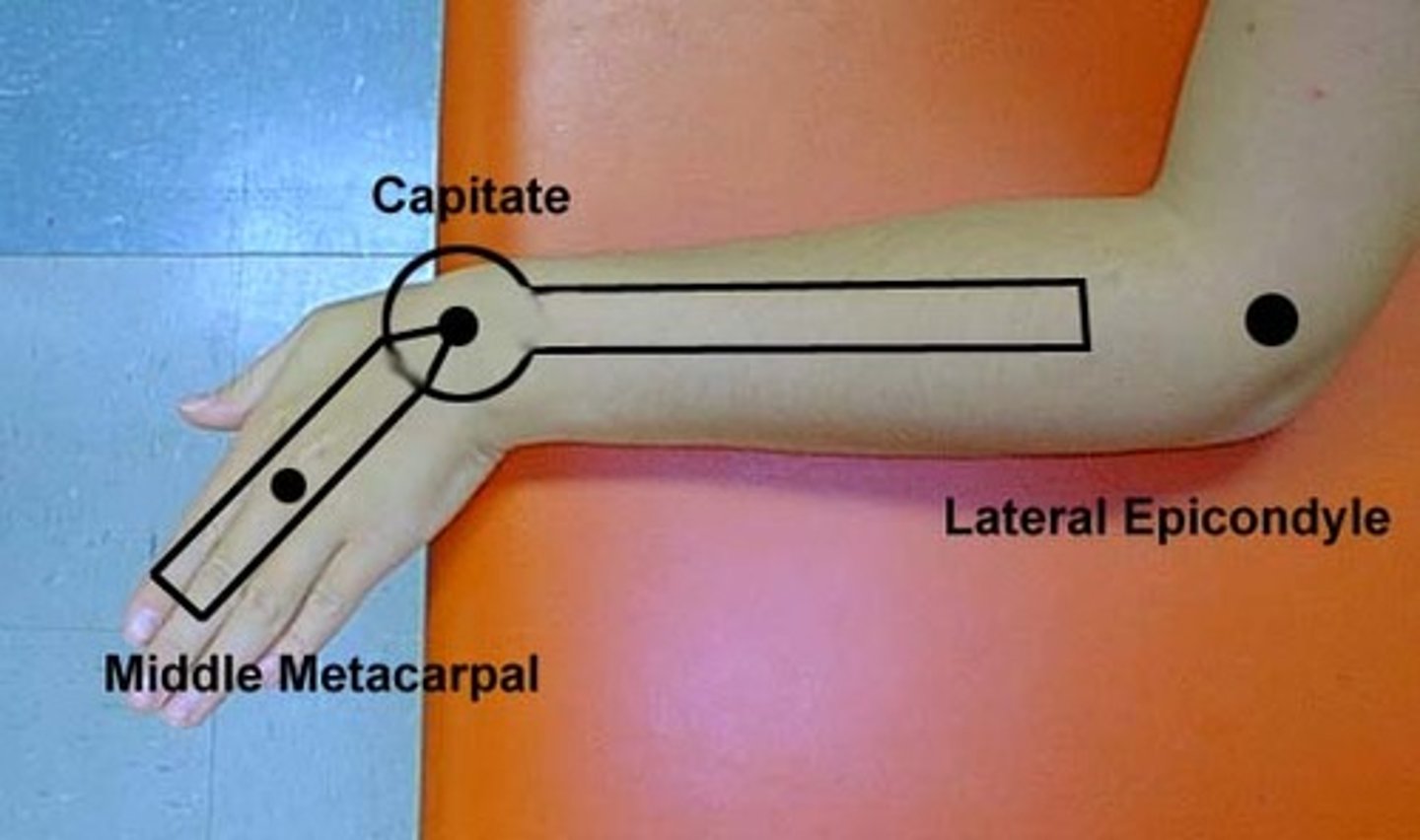 <p>fulcrum: over capitate, dorsal surface<br>proximal: dorsal midline of forearm<br>distal: dorsal midline of 3rd metacarpal<br><br>* elbow in 90 flexion on table<br>* arm and hand rest on table<br>* normal value = 30</p>