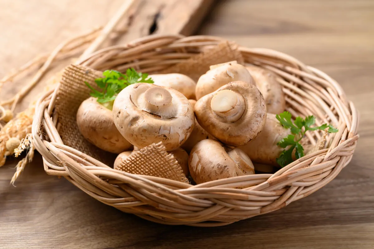 <p>champiñones</p>