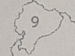 <p>Identify this Spanish-speaking country (South America)</p>