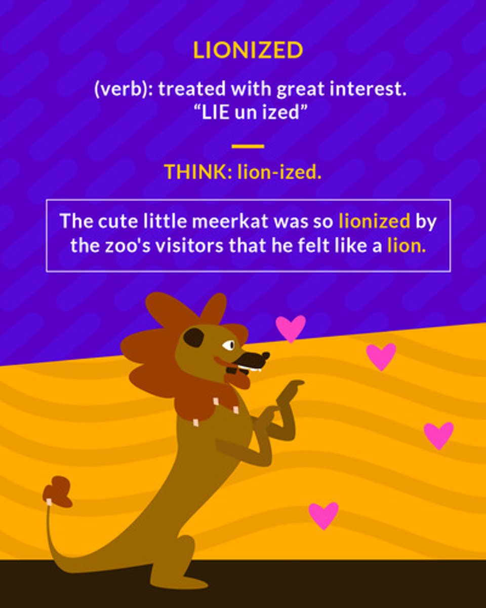 <p>to treat as an object of great interest or importance</p><p>(verb) treated with great interest</p>