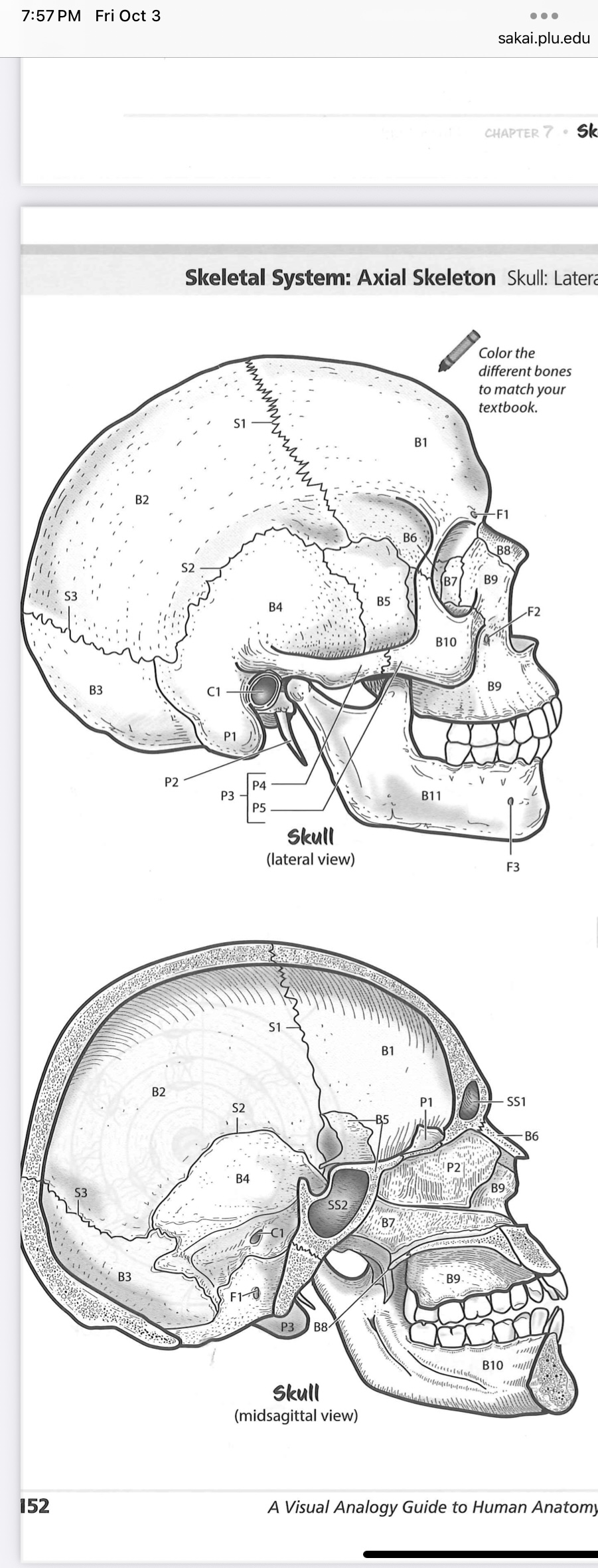 <p>B3</p>