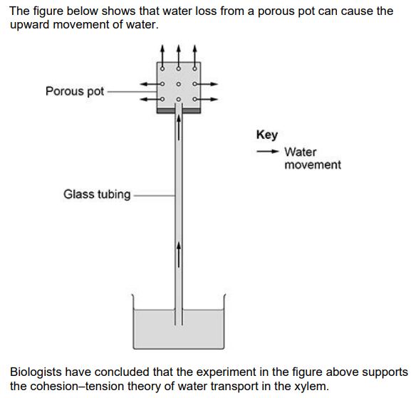 <p>Explain how this conclusion is supported by the experiment in the figure [<strong>3</strong>]</p>