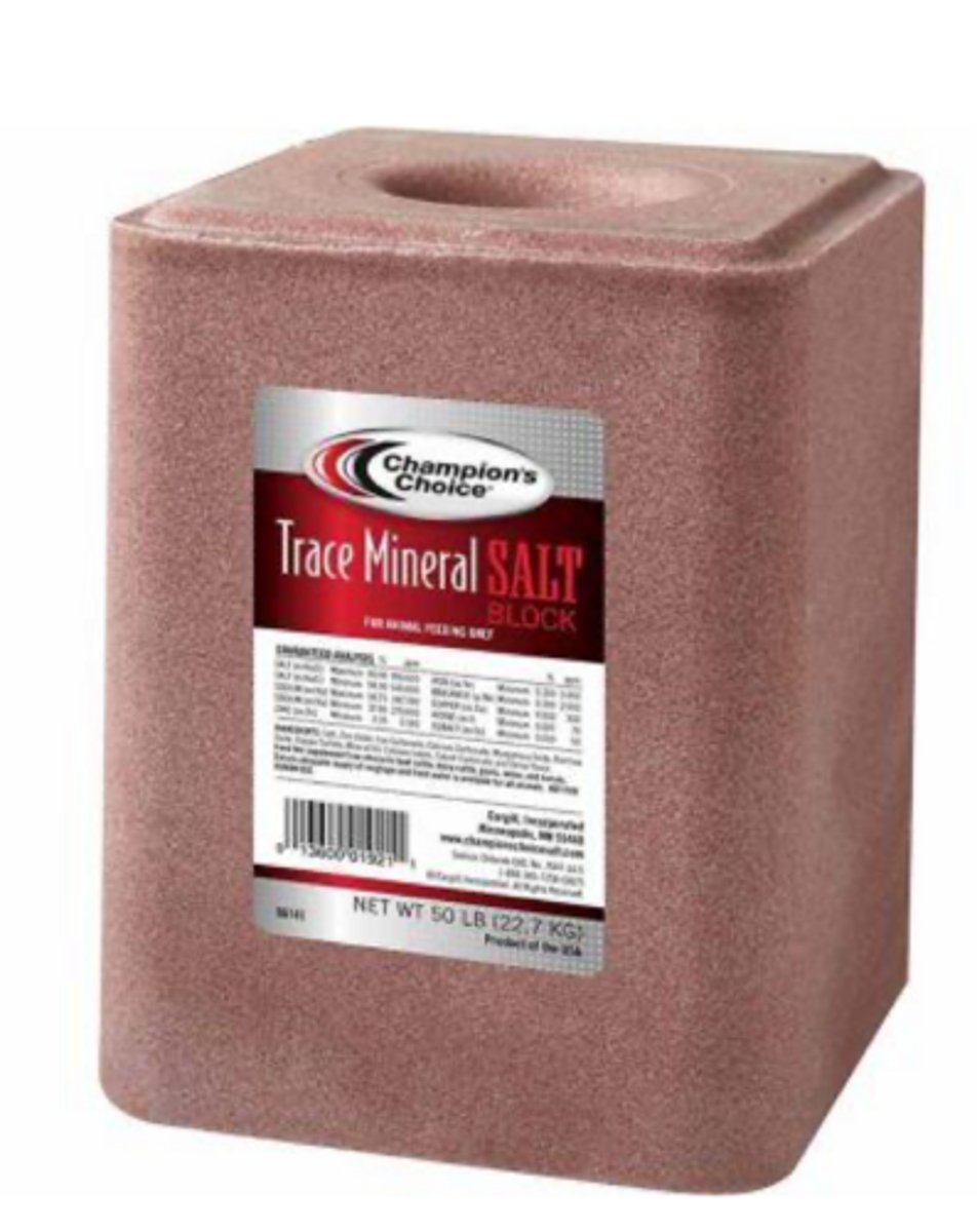 <p>what trace minerals are often supplemented for beef cattle in the form of loose mineral or block</p>