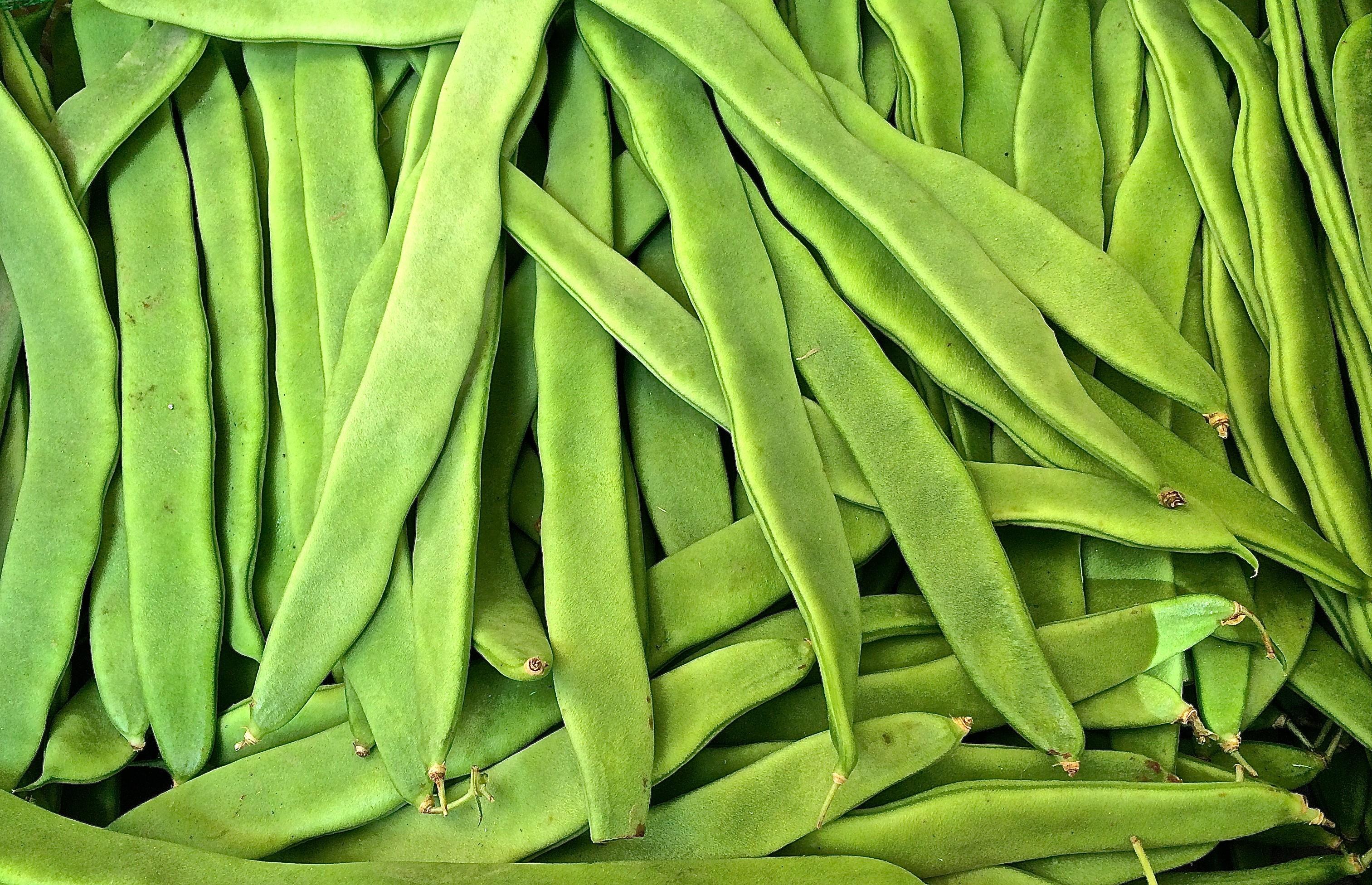 <p>LONG BEAN</p>