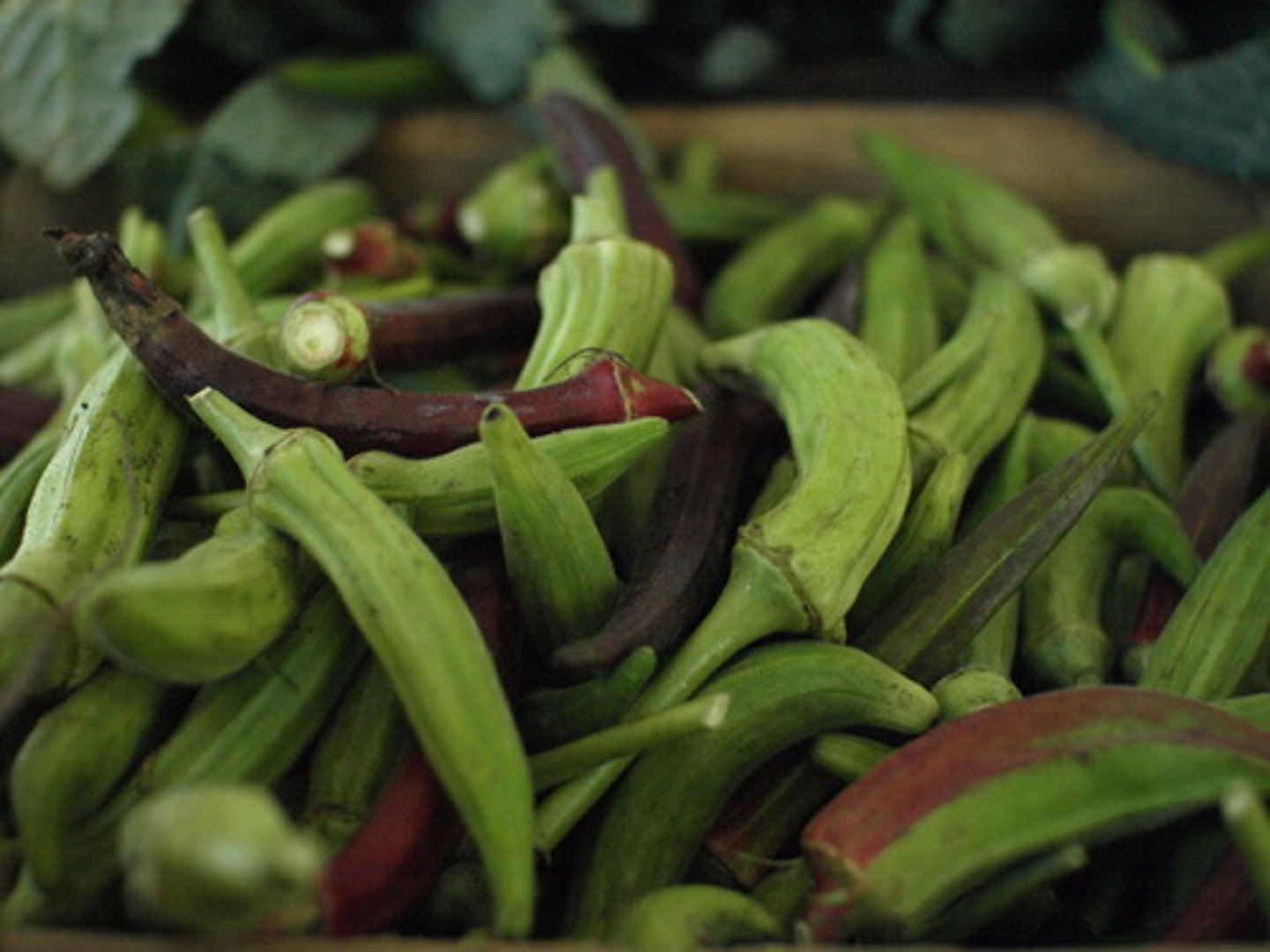 <p>Columbian Exchange--foods brought by African slaves</p>