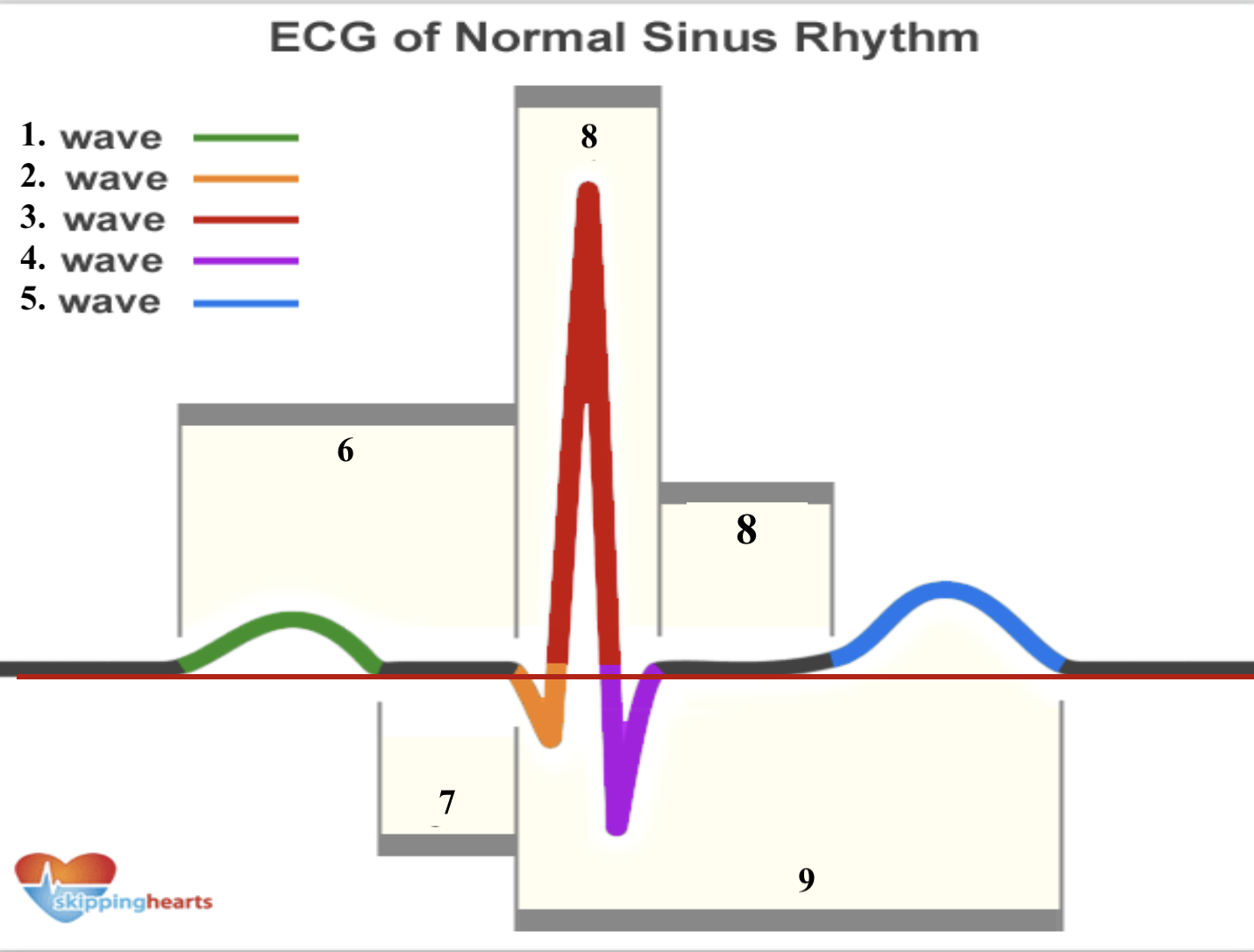 <p>Structure 4 (purple line) is a __ _________.</p>