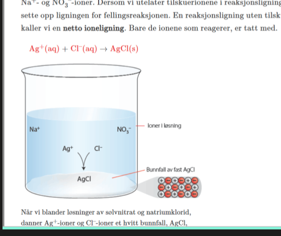 tilskuerioner er ioner i f.eks en fellingsreaksjon som ikke er med. 

en reaksjonsligning uten tilskuerionene kalles for en netto ionelikning. 