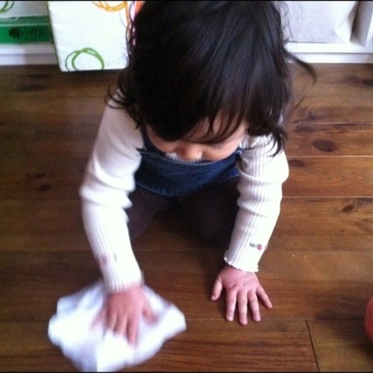 <p>cleaning (noun)</p>