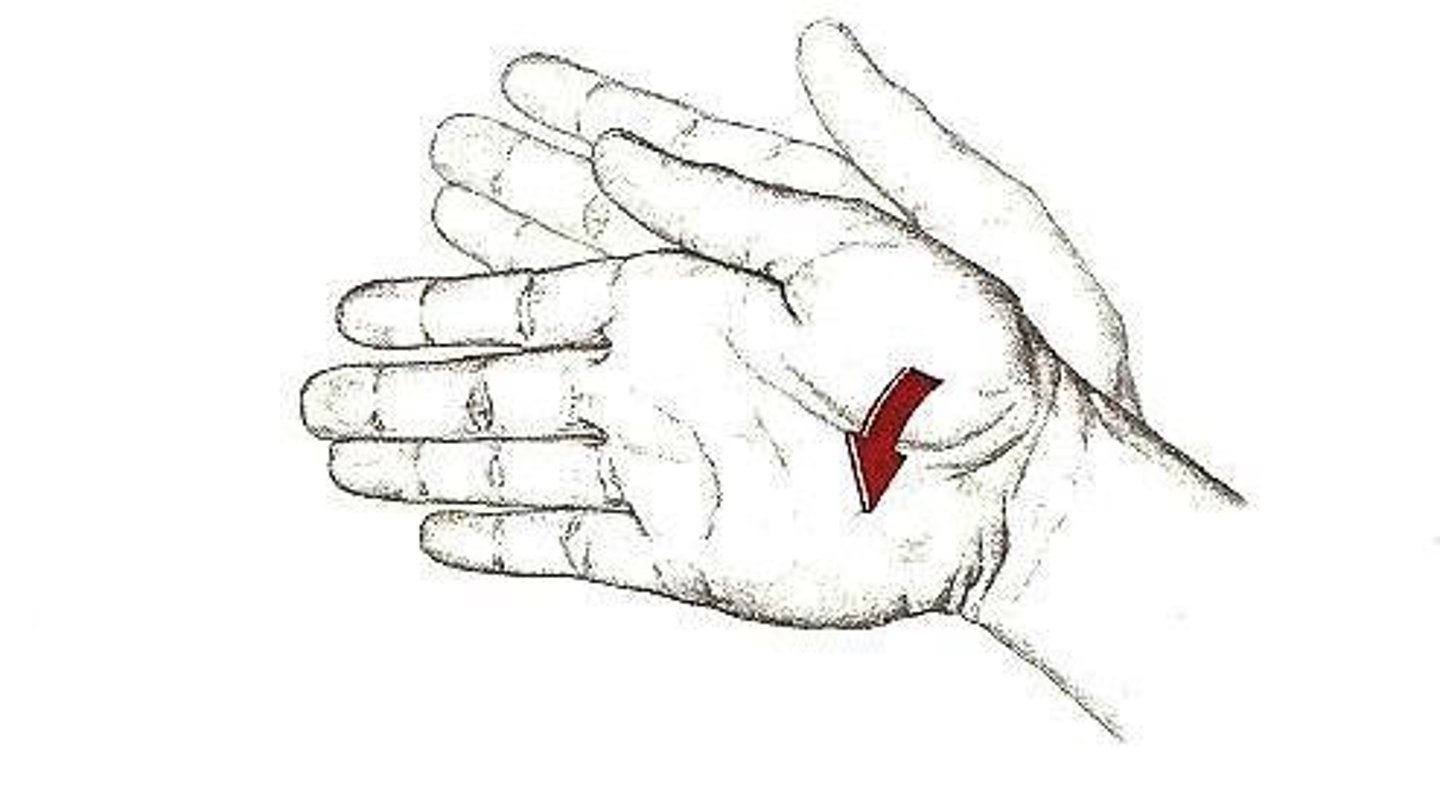<p>adduction movement at wrist of little finger side of hand toward forearm</p>