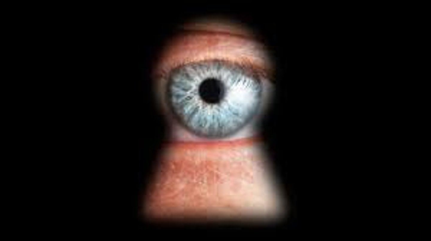 <p>to spy</p>