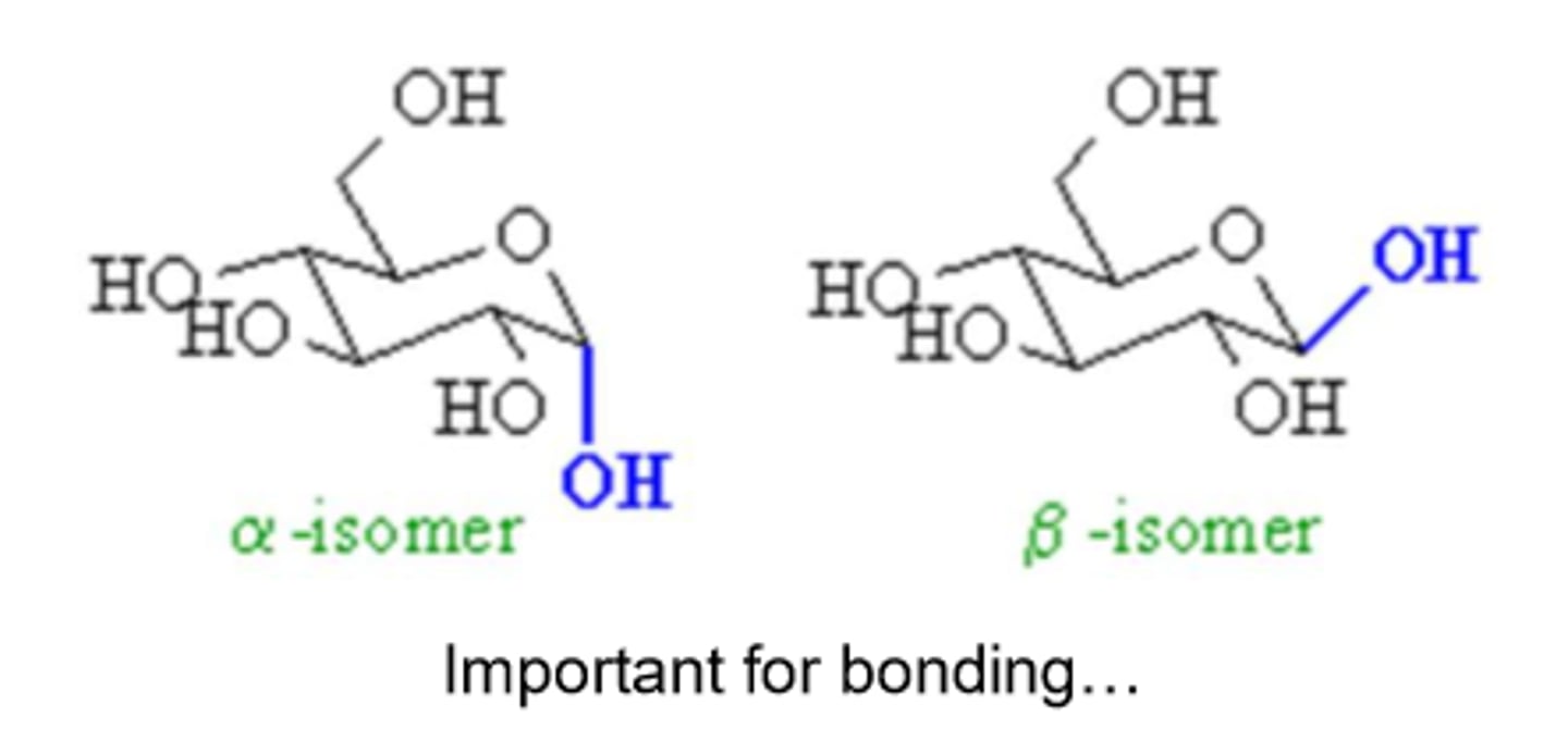 <p>the -OH group at the anomeric center is on the same side of the -CH2OH group</p>