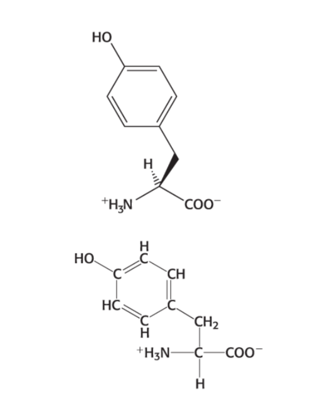 <p>HYDROPHILIC: Hydroxybenzene group</p>