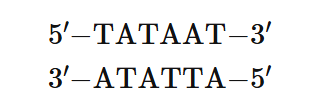 <ul><li><p>most common consensus sequnce found in almost all bacterial promoters</p></li><li><p>centered 10 bp upstream of the start site</p></li><li><p>TATAAT</p></li><li><p>Remember that TATAAT is just the consensus sequence—representing the most commonly encountered nucleotides at each of these sites </p></li><li><p> In most prokaryotic promoters, the actual sequence is not TATAAT.</p><p>          </p></li></ul><p></p>