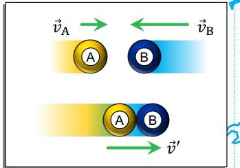 <p>Objects stick together and Final velocity is common for this type of Collision.</p>
