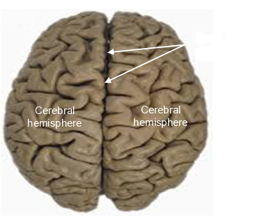 <p>whats this pointing to?</p>