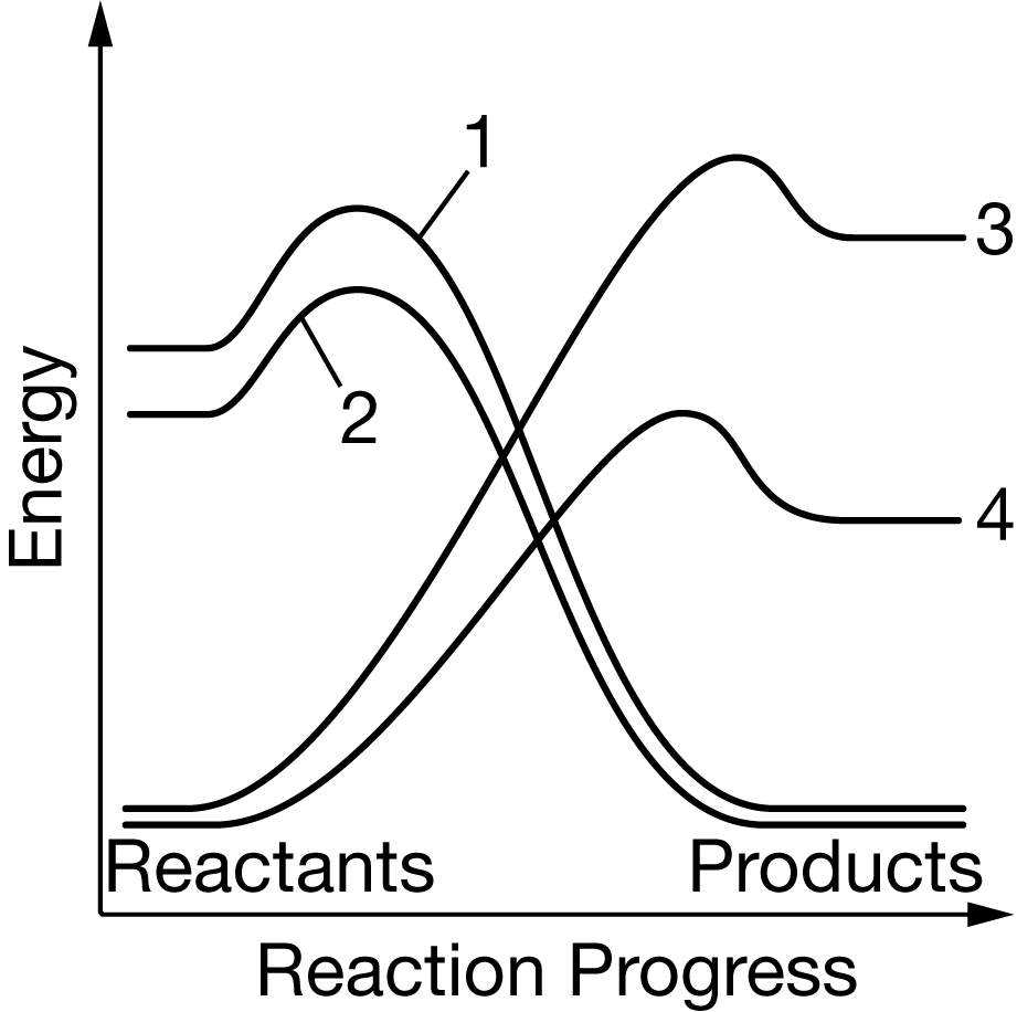 <p>Figure 1. Change in energy over the course of four chemical reactions</p><p>Based on the data in Figure 1, which of the following most likely represents the change in energy that occurs when <span>ATP</span> hydrolysis is coupled with the phosphorylation of a substrate?</p><p>A) Line 4 represents A T P hydrolysis, and line&nbsp; 1 represents phosphorylation of a substrate.</p><p>B) Line 1 represents ATP hydrolysis, and line&nbsp; 4 represents phosphorylation of a substrate.</p><p>C) Line 2 represents ATP hydrolysis, and line&nbsp; 3 represents phosphorylation of a substrate.</p><p>D) Line <span>3</span> represents <span>ATP</span> hydrolysis, and line&nbsp;<span>2</span> represents phosphorylation of a substrate.</p>