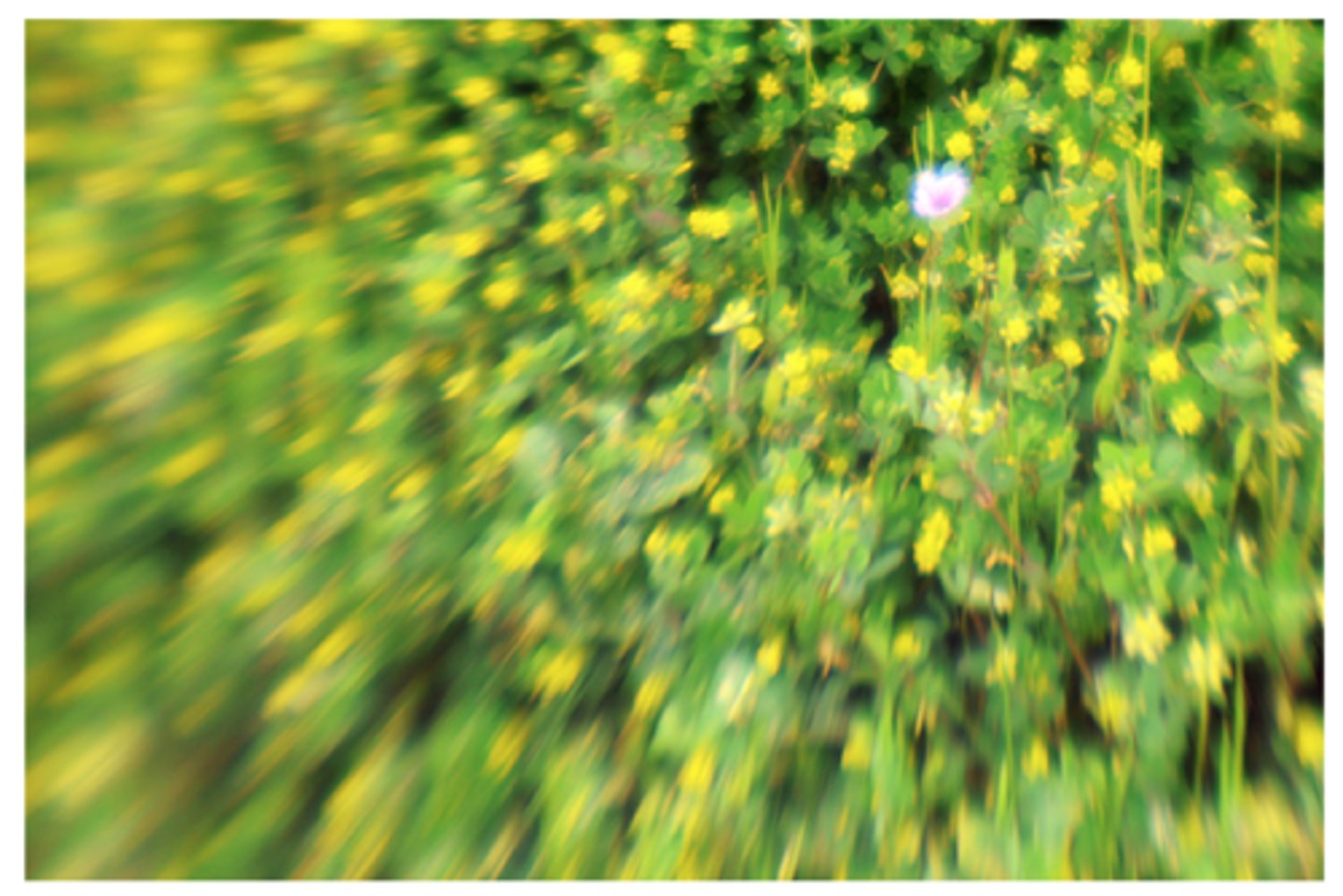 <p>This is a kind of defect where the image formed by a lens come to a sharper focus in curved surface than a flat surface.</p>
