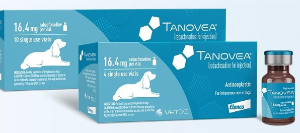 <p><span>other alkylating agents like:</span><br><span>-cyclophosphamide</span><br><span>-chlorambucil</span><br><span>-CCNU</span><br><span>-tanovea (off label use)</span></p>