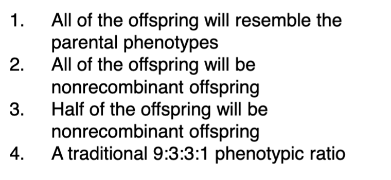 <p><span style="color: blue">If genes N and Q are fully linked and no</span><span style="color: blue"><br></span><span style="color: blue">crossing over occurs between them, what do</span><span style="color: blue"><br></span><span style="color: blue">you expect to see from a dihybrid cross? (look at picture)</span><span style="color: blue"><br></span><span style="color: blue">A. 1 and 2</span><span style="color: blue"><br></span><span style="color: blue">B. 1 and 3</span><span style="color: blue"><br></span><span style="color: blue">C. 1, 2 and 4</span><span style="color: blue"><br></span><span style="color: blue">D. 1, 3 and 4</span></p>