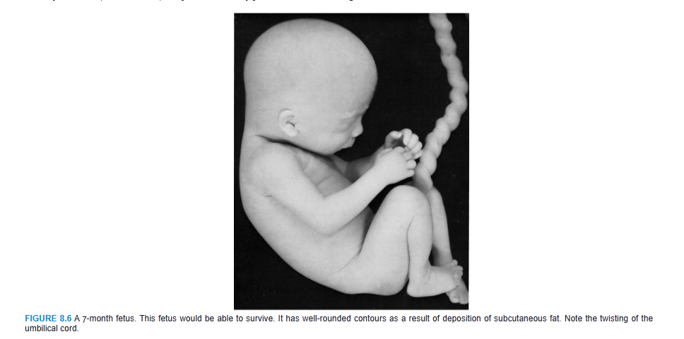 <p>During the last 2 months, the fetus obtains well-rounded contours as the result of deposition of subcutaneous fat (Fig. 8.6). By the end of intrauterine life, the skin is covered by a whitish, fatty substance (vernix caseosa) composed of secretory products from sebaceous glands.</p>