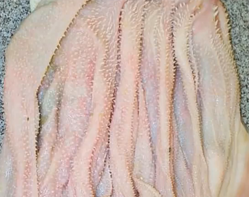 <p>What is this the lining of + details</p>