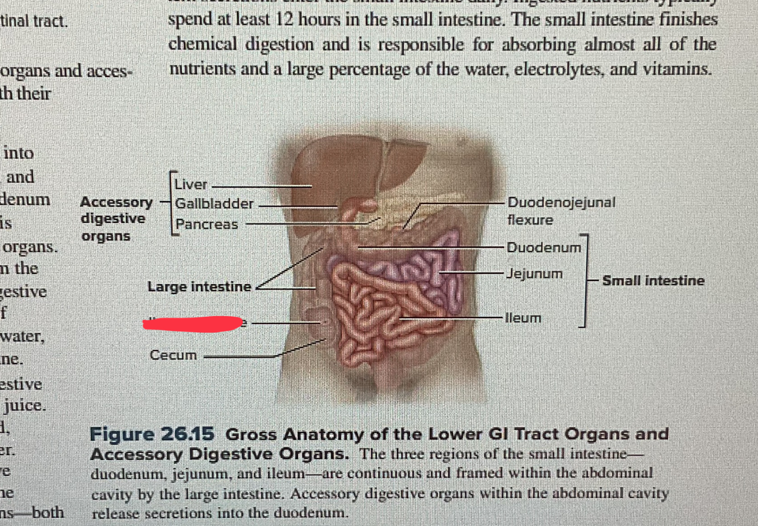 knowt flashcard image