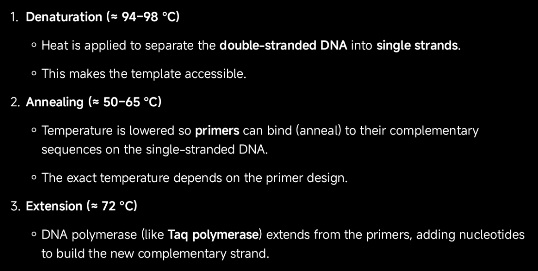 <p>PCR involves repeating cycles of:</p>