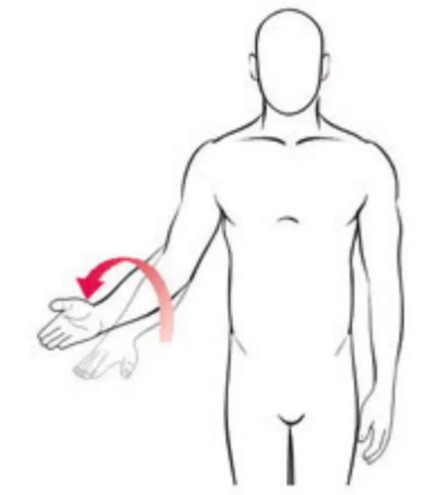 <p>Movement across the transverse plane away from midline</p>