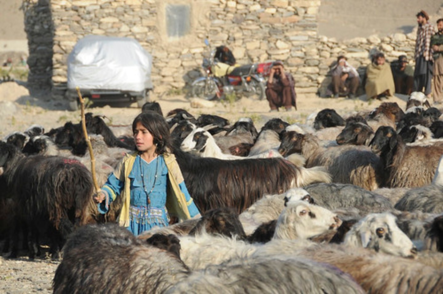 <p>A form of subsistence agriculture based on herding domesticated animals.</p>