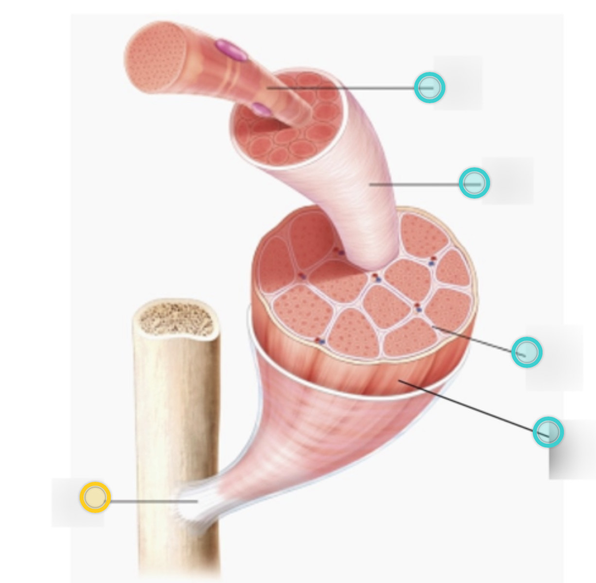 <p>what is this on the diagram?</p>