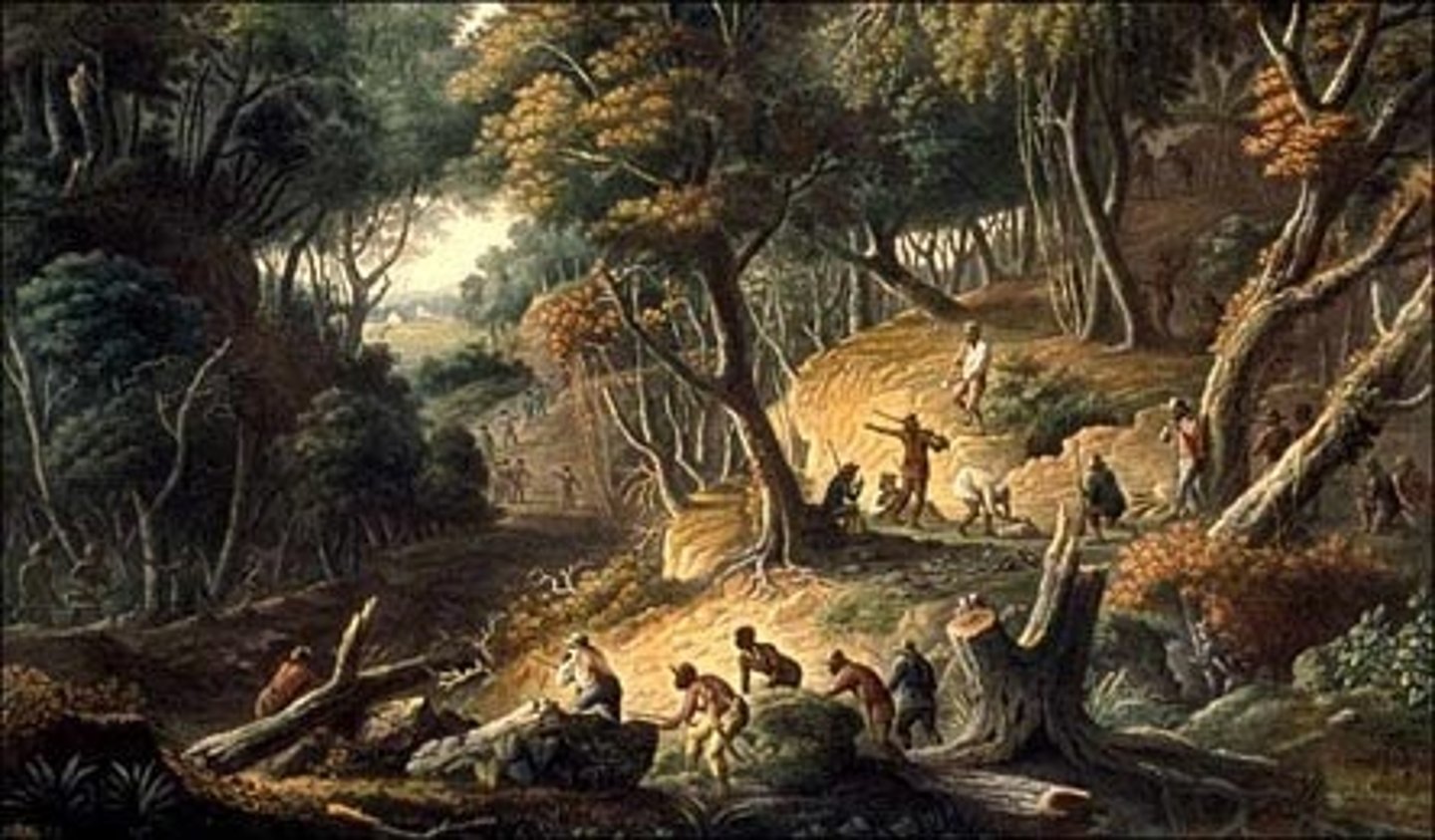 <p>Formerly enslaved Africans who had escaped and lived in groups in the mountains.</p>
