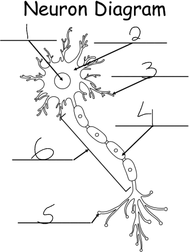 <p>what is 5</p>