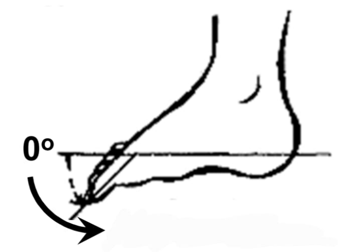 <p>Toe plantarflexion</p>