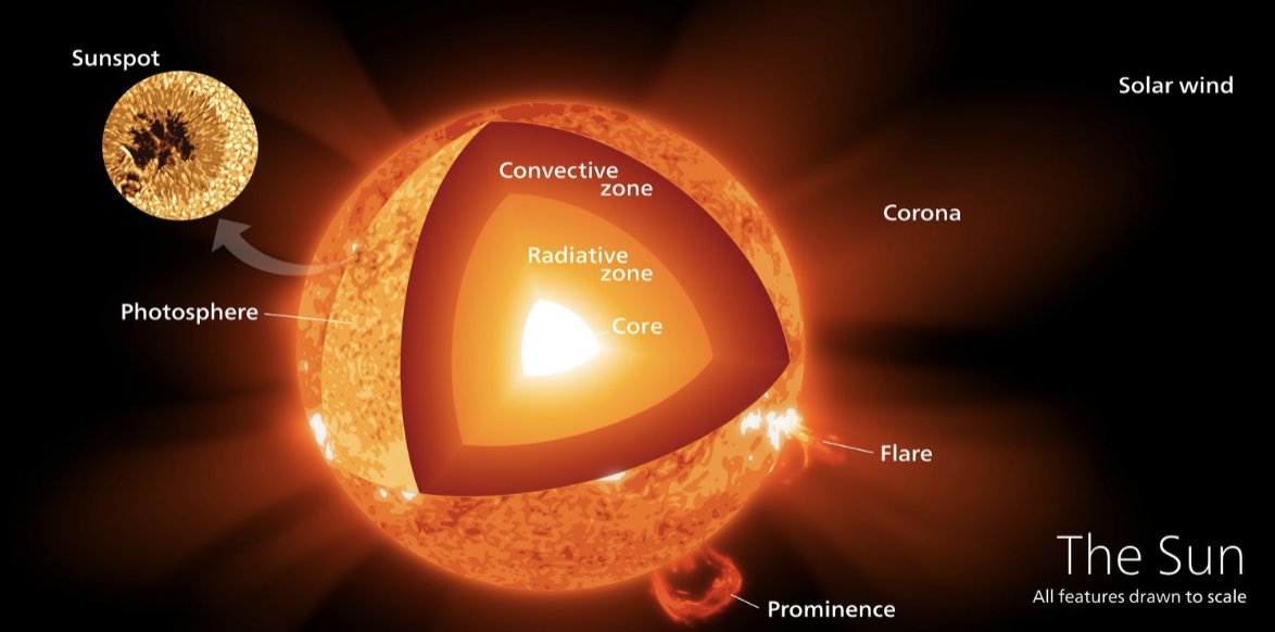 <p>core → radiative zone → convective zone → photosphere</p>