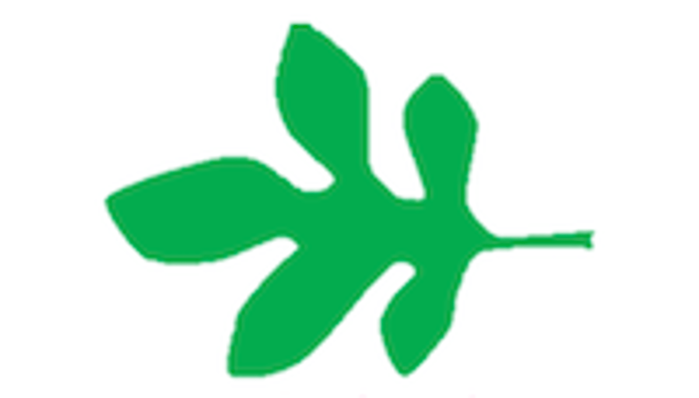 <p>What shape is this leaf?</p>