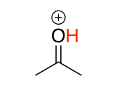 <p>Protonated carbonyls </p>