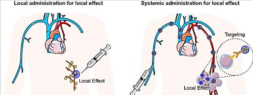 <p>E.g., using the eye to facilitate delivery elsewhere or treating a disease of the eye</p>