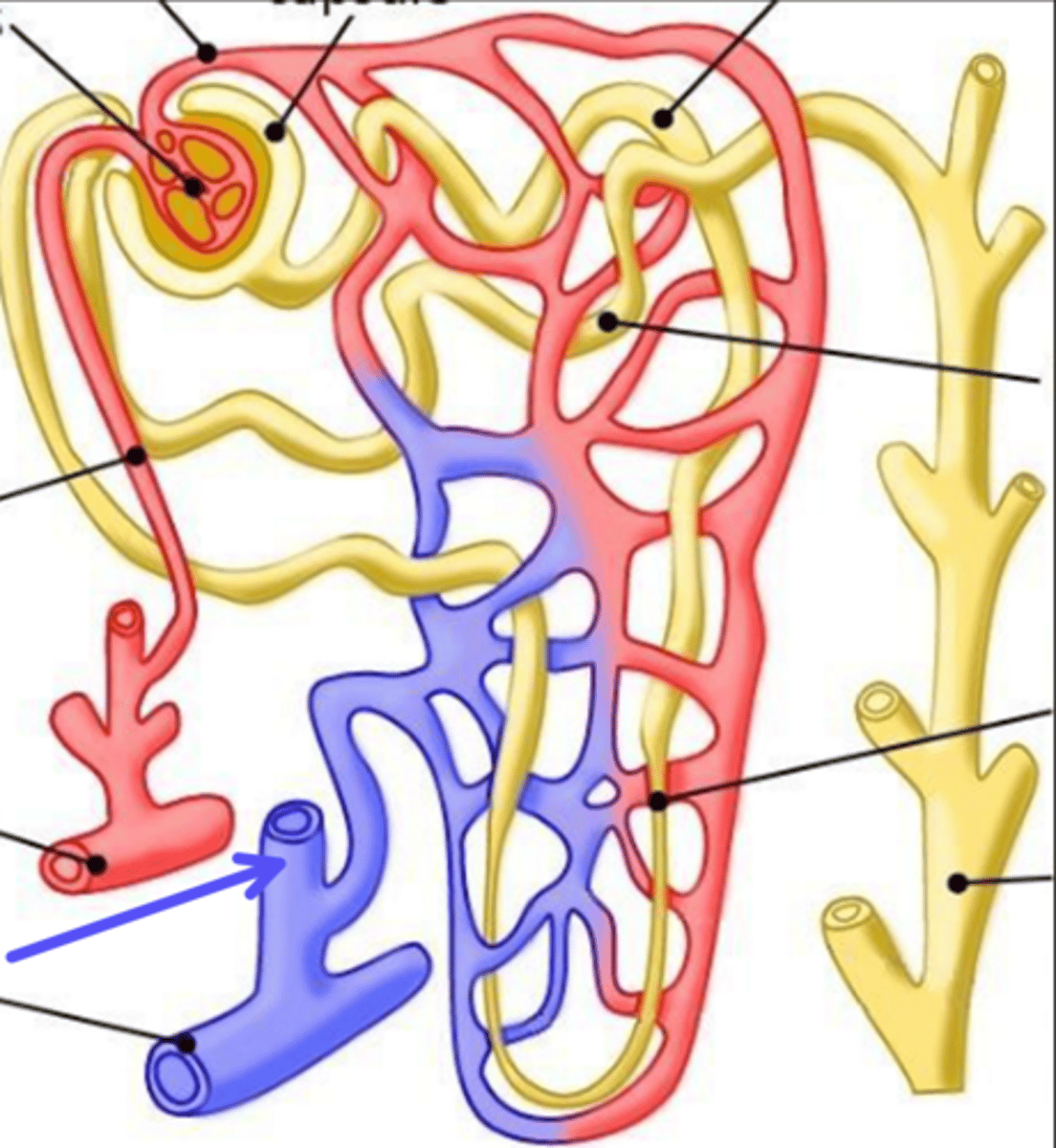 <p>What is the arrow pointing at?</p>